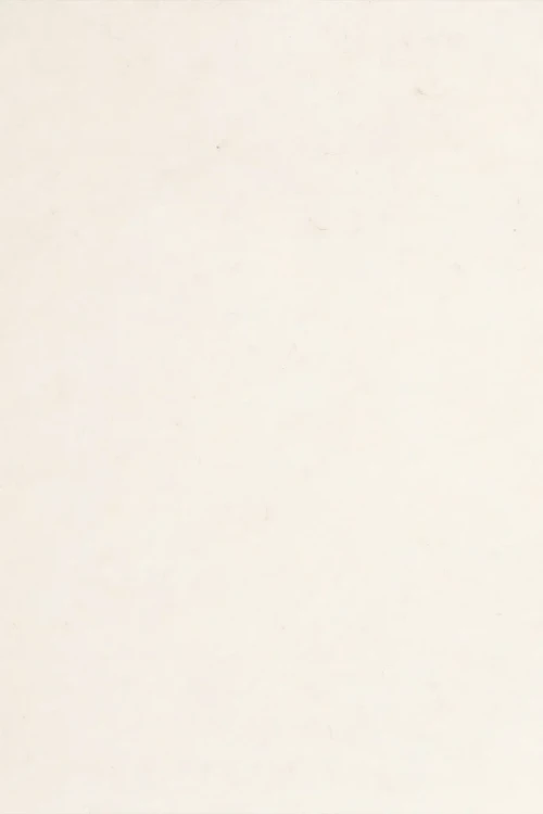 AL100-krem-683x1024.webp